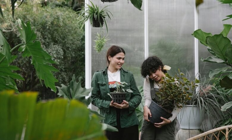 online courses for growth