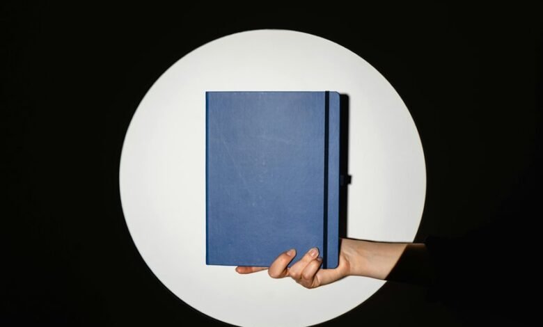 aida lissantana s creative showcase